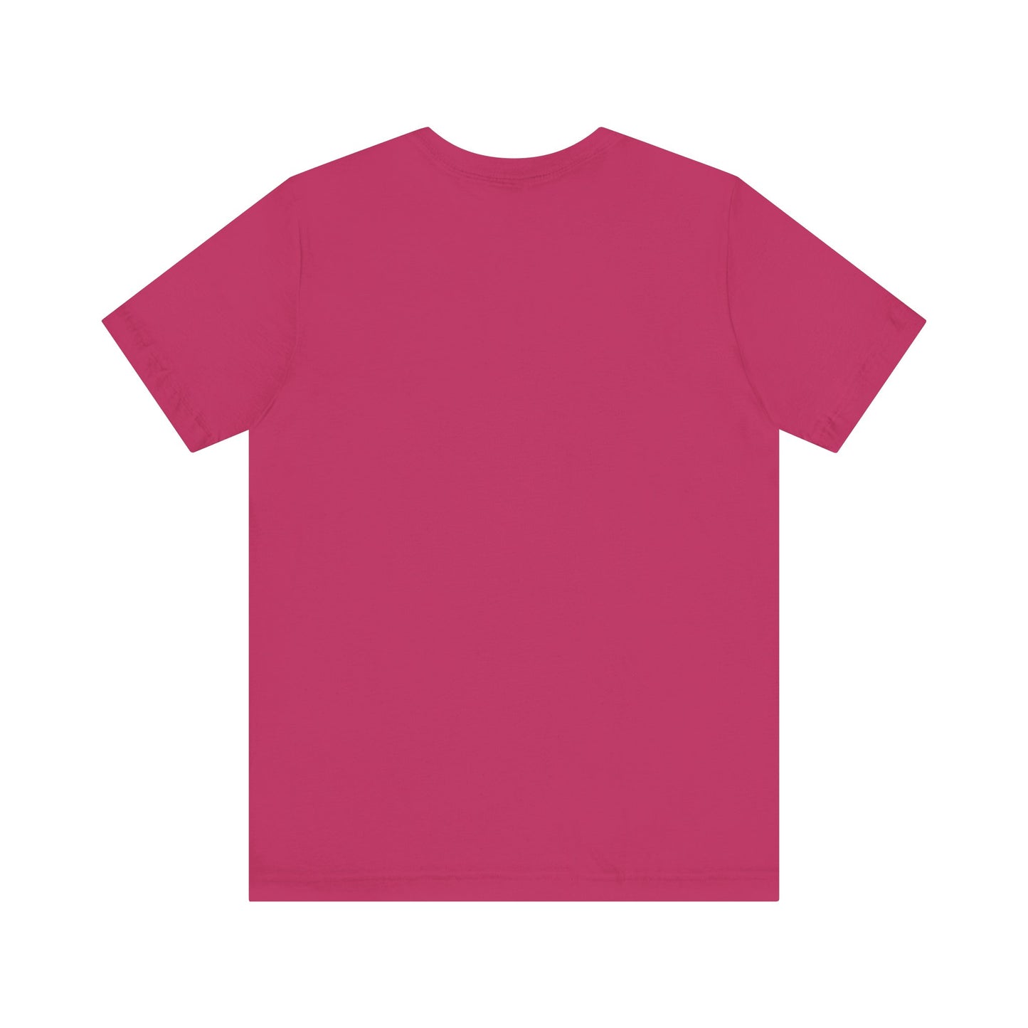 Jesus established T-Shirt